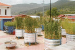 View of the outdoor Laboratory facilities